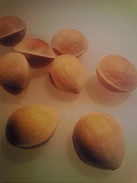 銀杏 2010/10/28 05:06:23