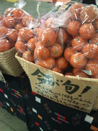 たんかん入荷しました＆三線教室の様子 2011/01/27 10:03:04