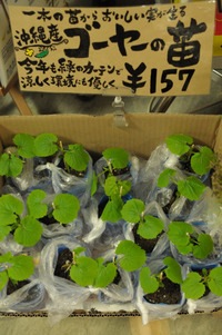 ５月８日は・・・？ 2012/05/08 11:24:13