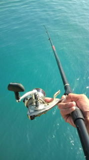 三時間釣行 2009/10/08 15:46:14