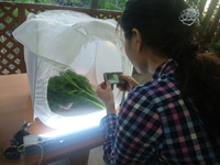 OWCG　勉強会　報告 2010/02/11 00:29:06