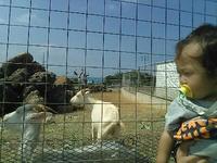 沖縄託児2016/08/31 2016/08/31 11:56:52