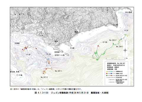 ジュゴンの食跡は確認、でも大浦湾はどこへいった？：シュワブ(H25)報告書