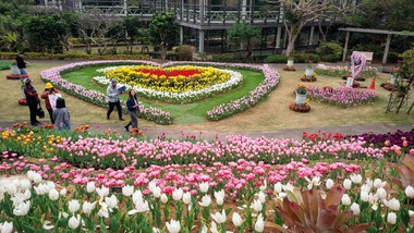 国際洋蘭博覧会17