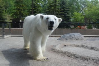 おいしさふれあいキャンペーン　北海道２泊３日の旅