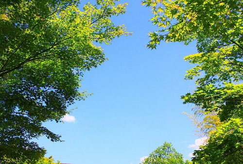 梅雨の晴れ間・・。