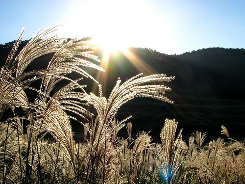 陽気な一日・・。