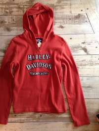 HARLEY DAVIDSON 2014/03/04 14:14:15