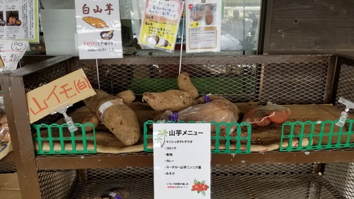 沖縄deお勉強〜・なかゆくい市場
