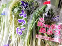 追っかけお野菜バナシ④名鉄百貨店さんフタタビ