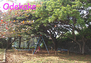 ◆大木公園 （おおき／読谷村大木）
