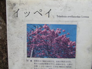子供の本を借りにきました。
