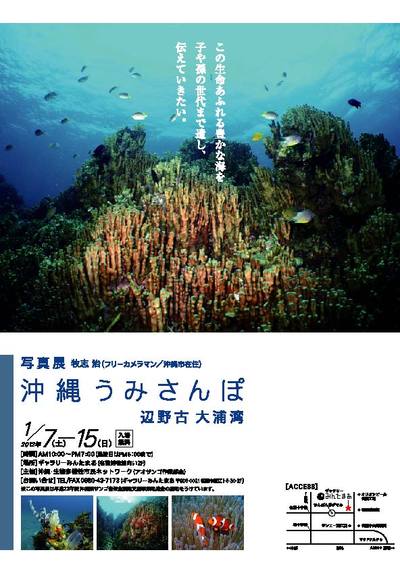 アオサンゴ部会写真展「沖縄うみさんぽ　辺野古・大浦湾」