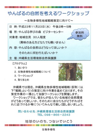 やんばるの自然を考えるワークショップ 地域戦略策定に向けて 沖縄 生物多様性市民ネットのブログ Citizens Network For Biodiversity In Okinawa