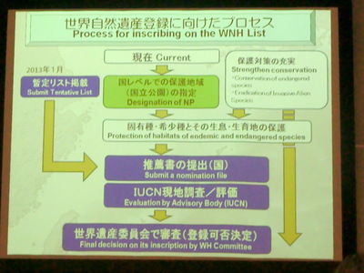 「世界自然遺産シンポジウム in 那覇」の部分的だけど大事な報告