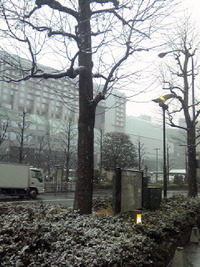 雪！ 2011/02/11 23:31:51