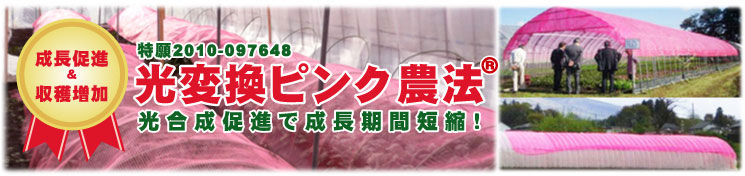 試してみたい