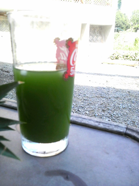 暑い沖縄の飲み物！