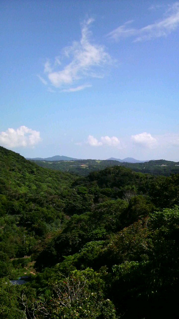 海もいいけど・・・山（沖縄ではやま）もいいです。
