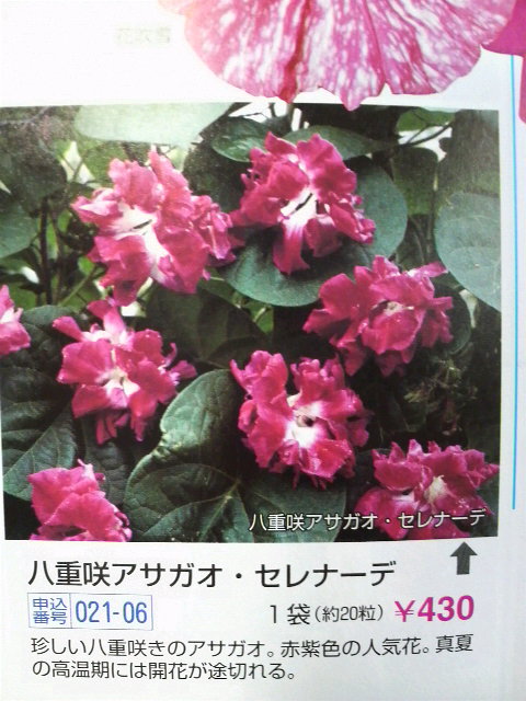 連休はじっくり