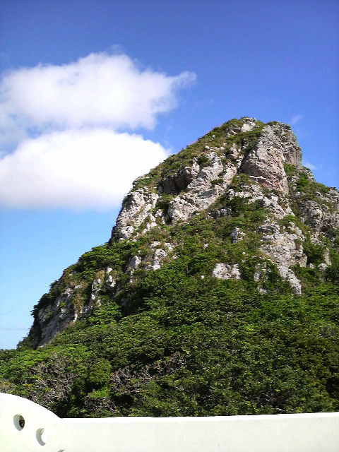 伊江島で！