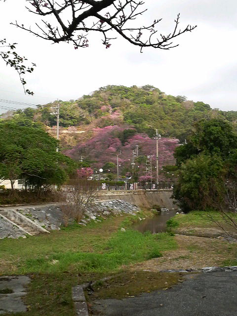 花より団子！