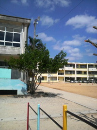 旅立ち 2010/03/20 18:44:28