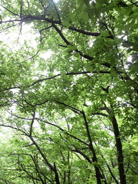 今日は雨の日！ 2010/05/07 13:53:44