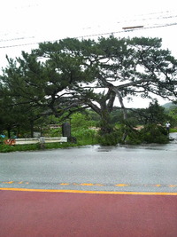 湿気が！カビをね～ 2010/05/17 16:48:42