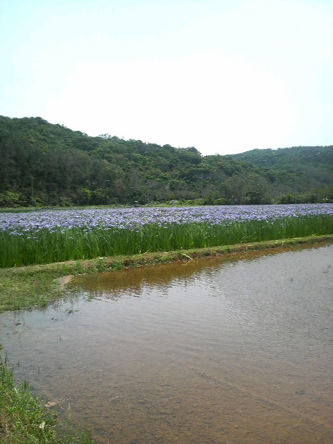 福島の友達と