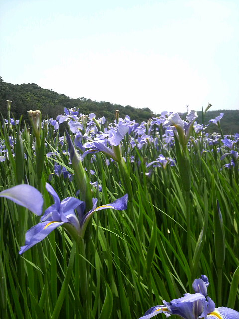 福島の友達と