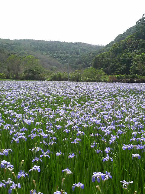 福島の友達と