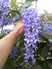 失礼いたしました。 2011/07/25 23:45:10