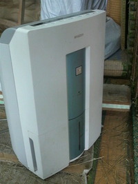 ジメジメでカビ出没 2011/05/28 15:41:12
