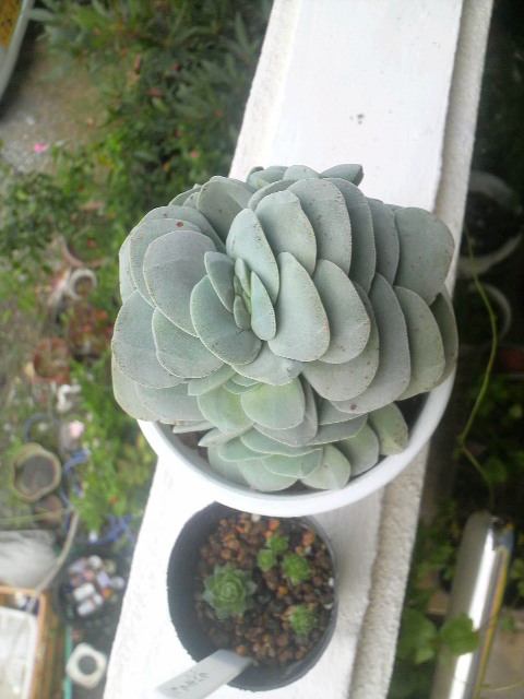 思ったより
