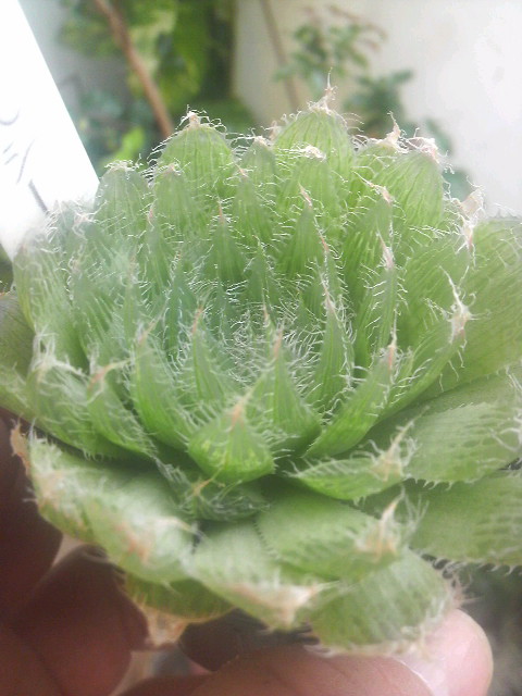 け・け　広げて