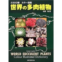 午後から 2011/06/06 11:46:54