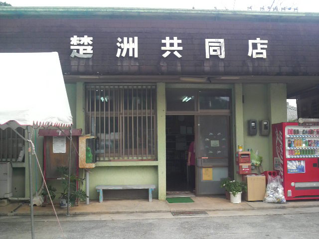 楚洲で遭遇！
