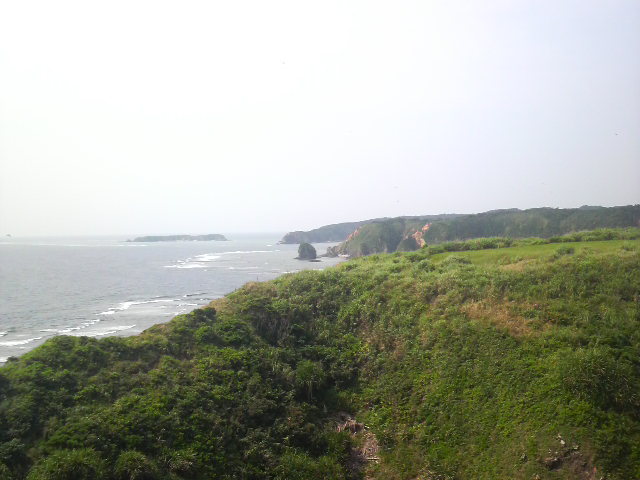 楚洲で遭遇！