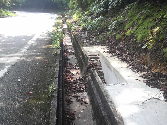 楚洲で遭遇！