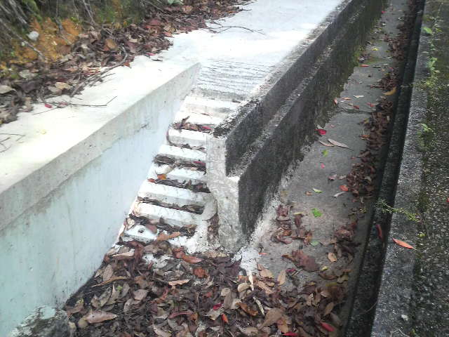 楚洲で遭遇！