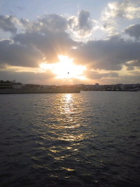 釣り納め…… 2009/12/31 17:58:16