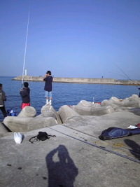 再び。。 2010/01/04 23:59:34