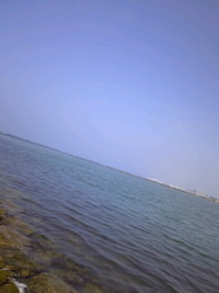 TSUNAMI 2010/02/28 13:57:00