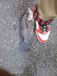 ルアー♪ 2010/05/16 19:00:00