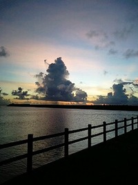 7月20日の記事 2010/07/20 21:28:52