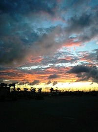 7月21日の記事 2010/07/21 23:37:31