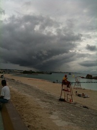 雨が 2010/06/06 15:08:49