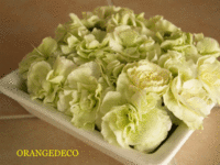 お花を長く持たせるコツ 2010/03/06 17:59:54