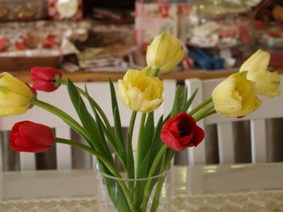 Tulip